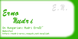 erno mudri business card